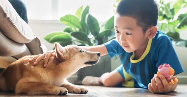 Giúp chó làm quen với trẻ em