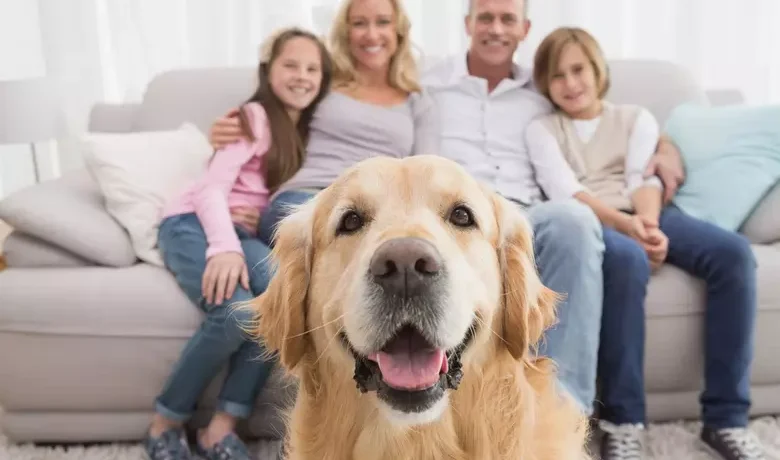 Bí quyết chọn giống chó phù hợp với gia đình bạn